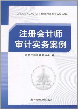 注冊會計師審計實務案例 pdf epub mobi 電子書 下載