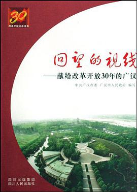 回望的视线 pdf epub mobi 电子书 下载