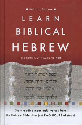 Learn Biblical Hebrew pdf epub mobi 电子书 下载