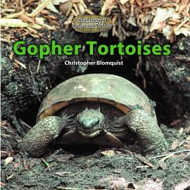 Gopher Tortoises pdf epub mobi 電子書 下載