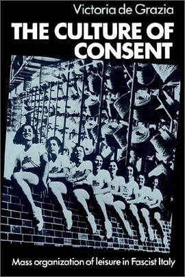 The Culture of Consent pdf epub mobi 电子书 下载