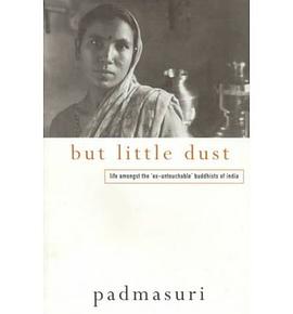 But Little Dust pdf epub mobi 电子书 下载