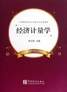 经济计量学 pdf epub mobi 电子书 下载