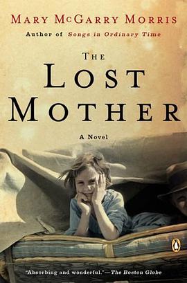 The Lost Mother pdf epub mobi 电子书 下载