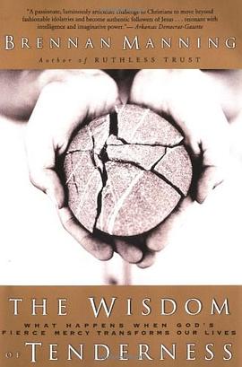 The Wisdom of Tenderness pdf epub mobi 电子书 下载