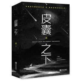 皮囊之下 pdf epub mobi 电子书 下载