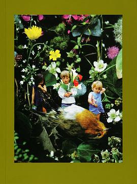 Mat Collishaw pdf epub mobi 電子書 下載