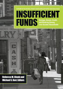 Insufficient Funds pdf epub mobi 电子书 下载