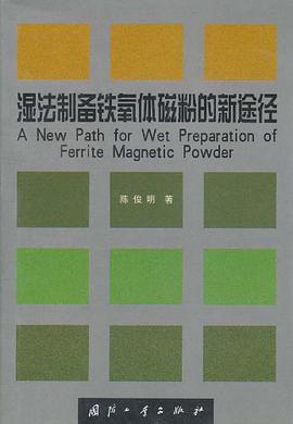 湿法制备铁氧体磁粉的新途径 pdf epub mobi 电子书 下载