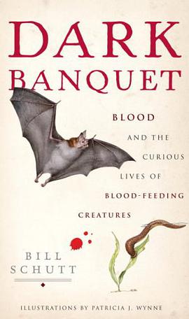 Dark Banquet pdf epub mobi 电子书 下载