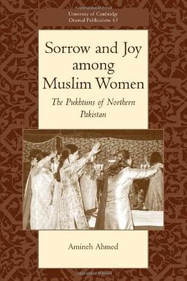 Sorrow and Joy Among Muslim Women pdf epub mobi 電子書 下載