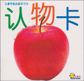 儿童早教启蒙学习卡 pdf epub mobi 电子书 下载