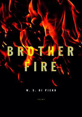 Brother Fire pdf epub mobi 电子书 下载