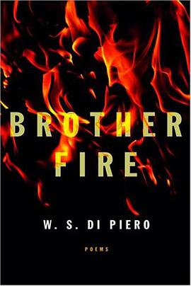 Brother Fire pdf epub mobi 电子书 下载
