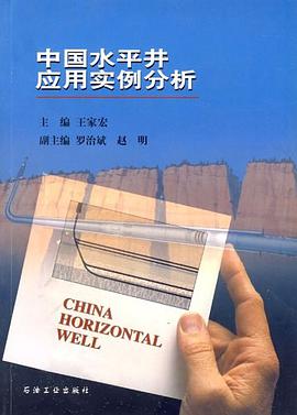 中国水平井应用实例分析 pdf epub mobi 电子书 下载