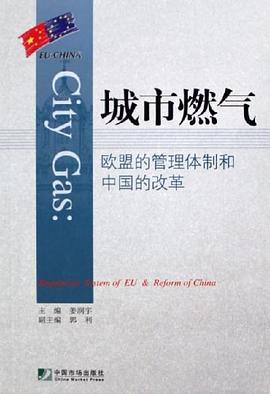 城市燃气 pdf epub mobi 电子书 下载