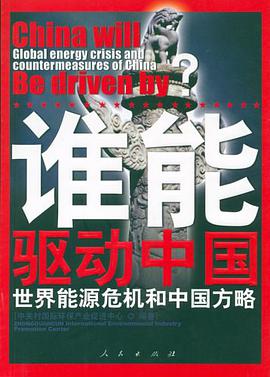 谁能驱动中国 pdf epub mobi 下载