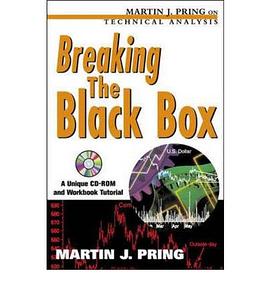 Breaking the Black Box pdf epub mobi 电子书 下载