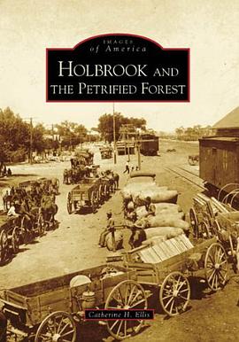 Holbrook and the Petrified Forest pdf epub mobi 電子書 下載