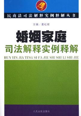 婚姻家庭司法解释实例释解 pdf epub mobi 电子书 下载
