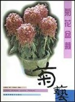 菊花盆栽 pdf epub mobi 电子书 下载
