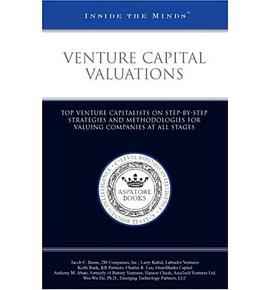 Venture Capital Valuations