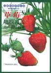 草莓地膜覆盖高产栽培技术 pdf epub mobi 电子书 下载
