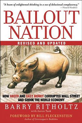 Bailout Nation pdf epub mobi 电子书 下载