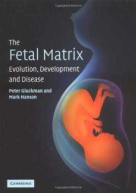 The Fetal Matrix