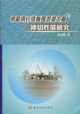 钢筋钢纤维高强混凝土板冲切性能研究 pdf epub mobi 电子书 下载
