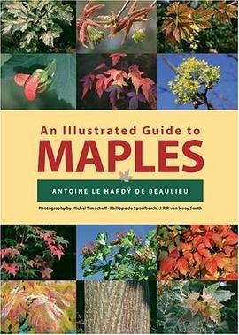 An Illustrated Guide to Maples