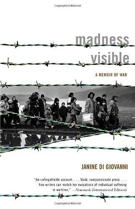 Madness Visible pdf epub mobi 电子书 下载