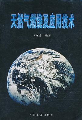 天然氣燃燒及應用技術