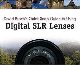 David Busch's Quick Snap Guide to Using Digital SLR Lenses pdf epub mobi 电子书 下载
