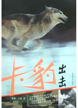 卡豹出击 pdf epub mobi 电子书 下载