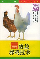 高效益养鸡技术