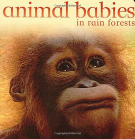Animal Babies in Rain Forests pdf epub mobi 电子书 下载