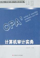 计算机审计实务 pdf epub mobi 下载