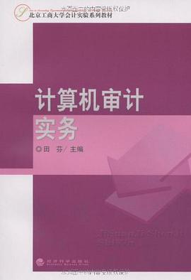 计算机审计实务 pdf epub mobi 电子书 下载