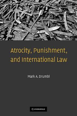 Atrocity, Punishment, and International Law pdf epub mobi 电子书 下载