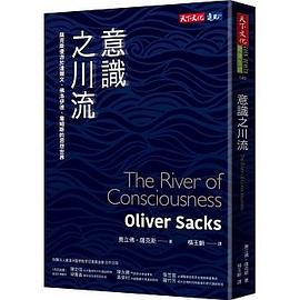 意識之川流 pdf epub mobi 电子书 下载