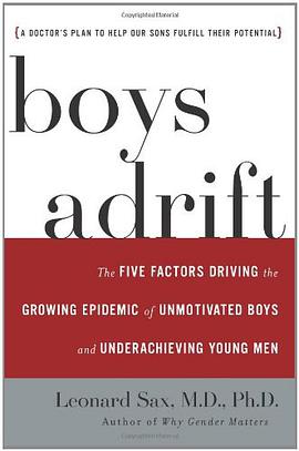 Boys Adrift pdf epub mobi 电子书 下载
