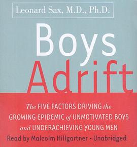 Boys Adrift pdf epub mobi 电子书 下载