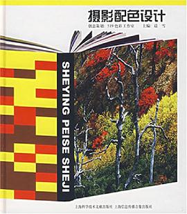 摄影配色设计 pdf epub mobi 电子书 下载
