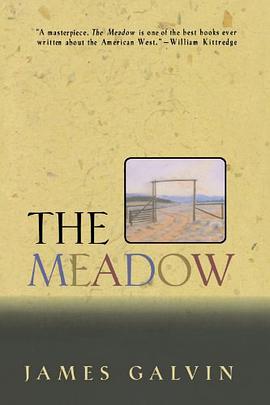 The Meadow pdf epub mobi 电子书 下载