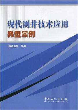 现代测井技术应用典型实例 pdf epub mobi 电子书 下载