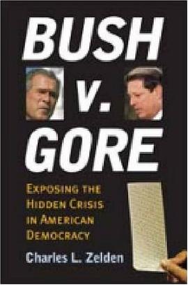 Bush v. Gore pdf epub mobi 電子書 下載
