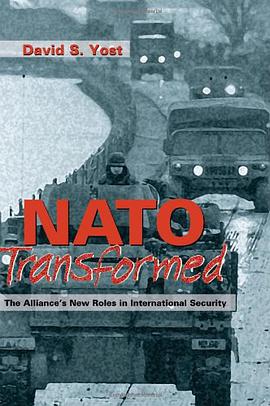 NATO Transformed