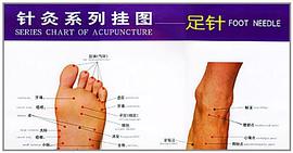 针灸系列挂图 pdf epub mobi 电子书 下载