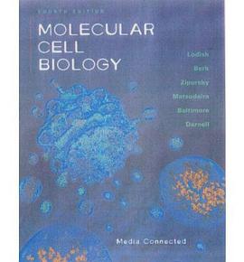 MOLECULAR CELL BIOLOGY pdf epub mobi 电子书 下载
